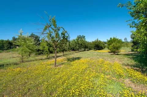 11374 Sara Dr, Redding, CA 96003 photo 24