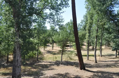 22265 Mirror Valley Ln, Redding, CA 96003 photo 9