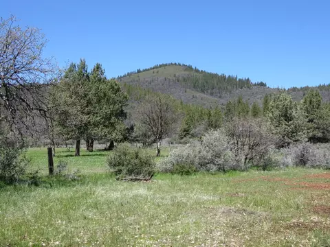 40624 Red Mountain Rd, Fall River Mills, CA 96028 photo 7