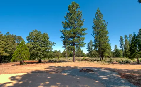 10672 Ridgetop Rd, Whitmore, CA 96096 photo 5