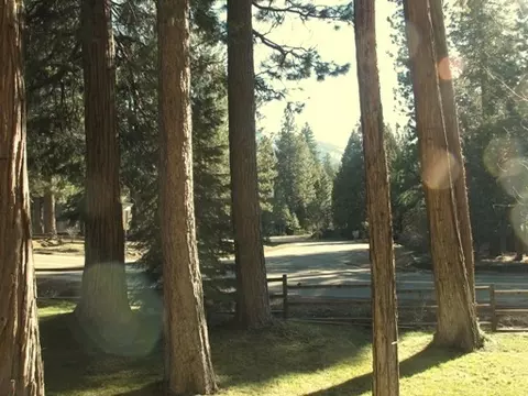 37164 Sapphire Rd, Burney, CA 96013 photo 8