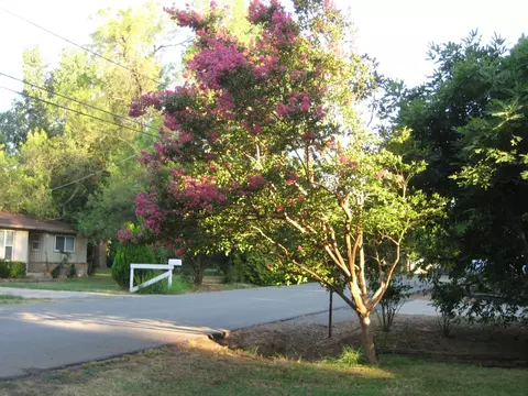 5172 Bidwell Rd, Redding, CA 96001 photo 2
