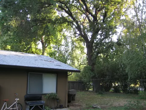 5172 Bidwell Rd, Redding, CA 96001 photo 6