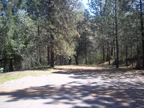 15067 Summer Shade Ln, Mountain Gate, CA 96003 photo 5