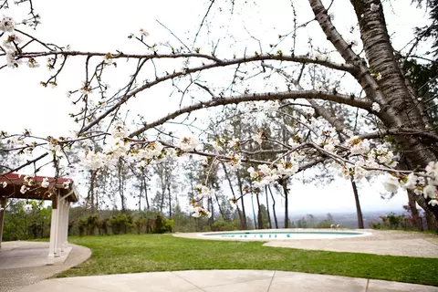 10054 Chateau Woods, Redding, CA 96001 photo 9