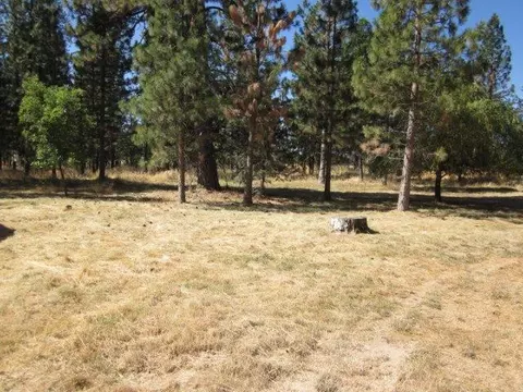 27032 Walker Dr, Fall River Mills, CA 96028 photo 8
