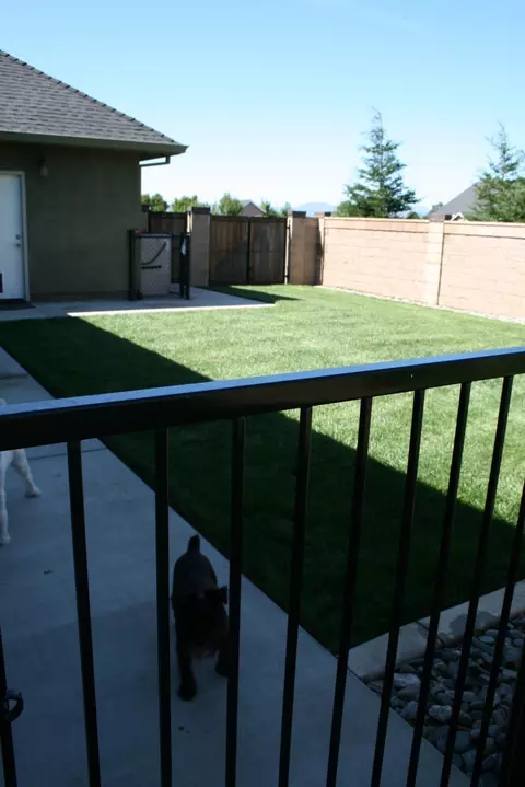 19870 Holstein Ln, Redding, CA 96002 photo 19