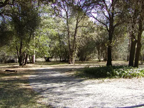 7971 Arbor Vitae, Redding, CA 96001 photo 15