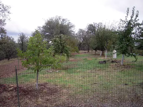 16949 Campo Calle, Redding, CA 96001 photo 18