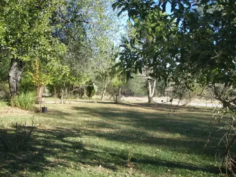 21378 Albatross, Redding, CA 96003 photo 12