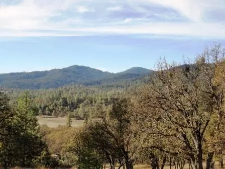 246 English Ln, Hayfork, CA 96041 photo 4