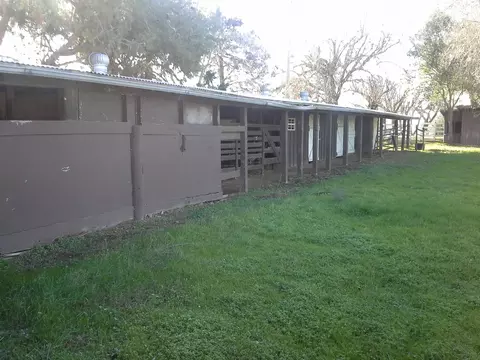 14010 Trinity Ave, Red Bluff, CA 96080 photo 25