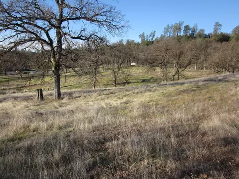 10504 Oak Run Rd, Oak Run, CA 96069 photo 8
