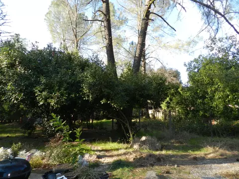 1160 Hanover Ct, Redding, CA 96003 photo 11