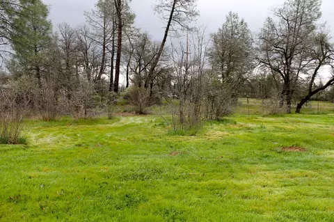 12169 Randolph Rd, Redding, CA 96003 photo 19