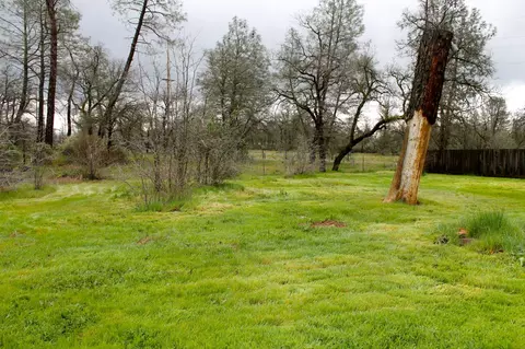 12169 Randolph Rd, Redding, CA 96003 photo 20