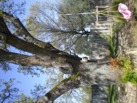 6736 Eastmont Dr, Redding, CA 96002 photo 28