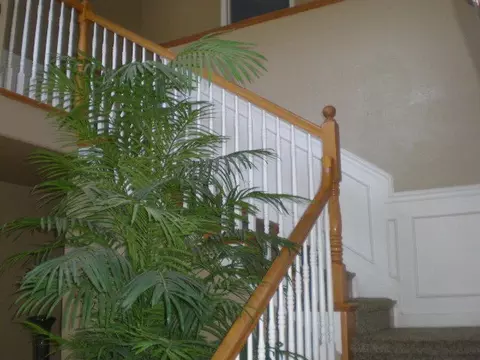 6736 Eastmont Dr, Redding, CA 96002 photo 11