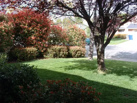 524 Chancellor, Redding, CA 96003 photo 3