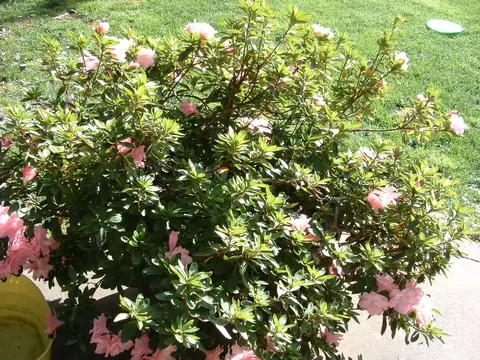 524 Chancellor, Redding, CA 96003 photo 29