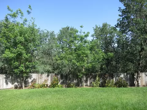19296 Posey Ln, Redding, CA 96003 photo 20