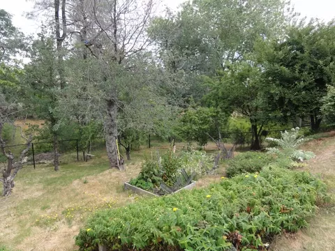 4152 Jasper Way, Redding, CA 96001 photo 24