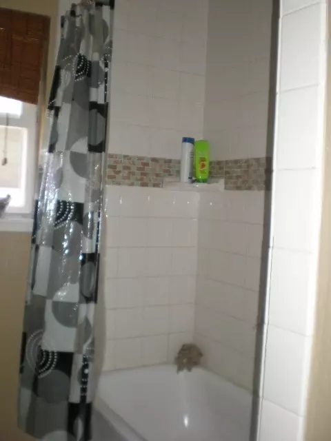 2548 Hawn Ave, Redding, CA 96002 photo 5