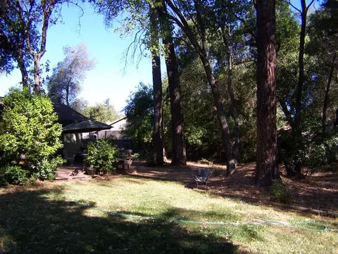 1163 Kirkwood, Redding, CA 96002 photo 8