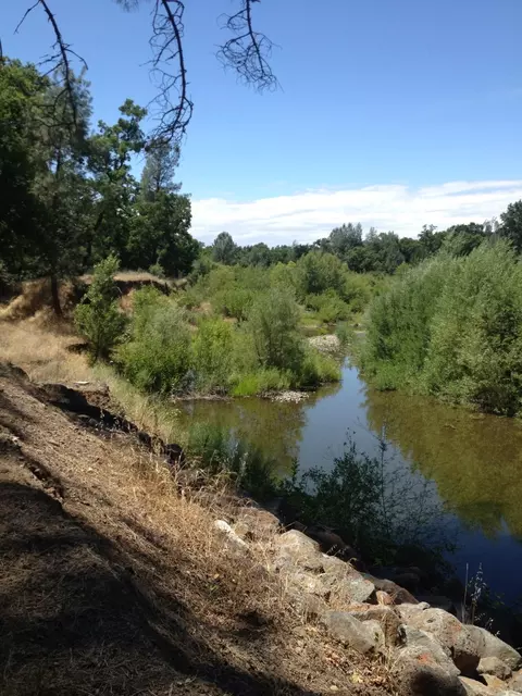 10828 Beaver, Oak Run, CA 96069 photo 6