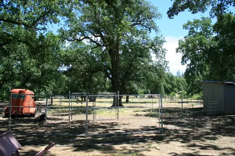 10828 Beaver, Oak Run, CA 96069 photo 37