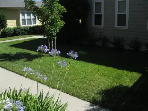 855 Fell St, Redding, CA 96001 photo 15