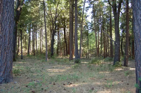 29893 Westmoore Rd, Shingletown, CA 96088 photo 3