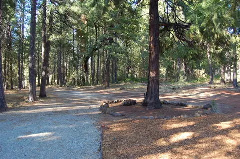 29893 Westmoore Rd, Shingletown, CA 96088 photo 5