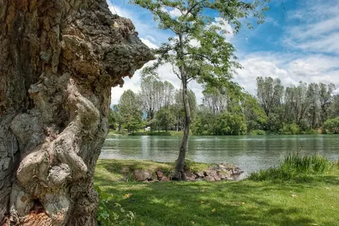 3445 Riverview Dr, Redding, CA 96001 photo 30
