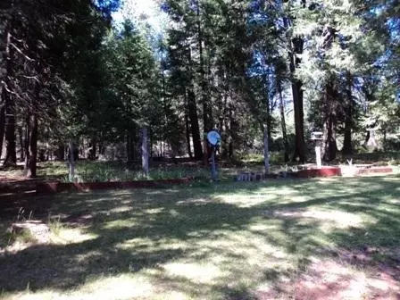 33134 Sites Rd, Shingletown, CA 96088 photo 2