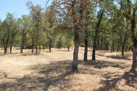 20659 Waterline Rd, Redding, CA 96003 photo 16