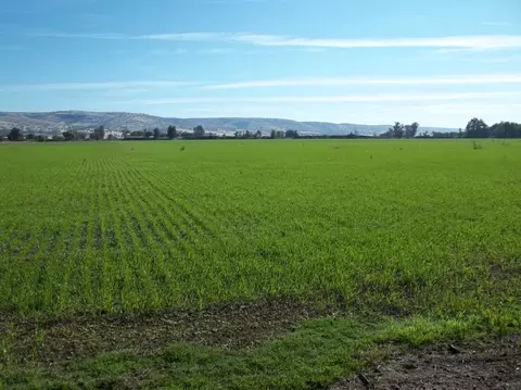 11728 Schafer Ave, Red Bluff, CA 96080 photo 5
