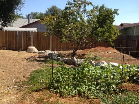 3929 Elin Ct, Redding, CA 96002 photo 41