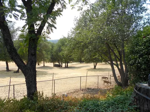 1600 Ridge Dr, Redding, CA 96001 photo 3