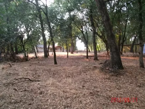 12079 Old Oregon Trl, Redding, CA 96003 photo 11
