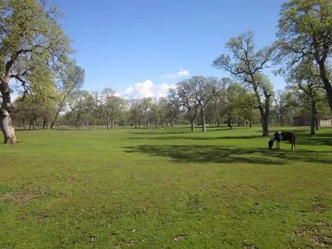 9951 Logan Rd, Redding, CA 96003 photo 42