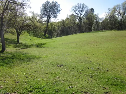9951 Logan Rd, Redding, CA 96003 photo 64