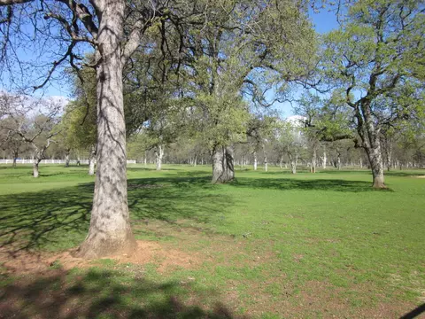 9951 Logan Rd, Redding, CA 96003 photo 63