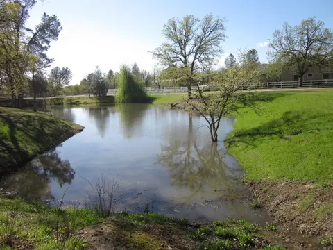 9951 Logan Rd, Redding, CA 96003 photo 68