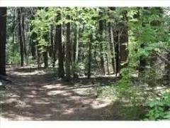 500 Lake Forest Dr, Trinity Center, CA 96091 photo 9