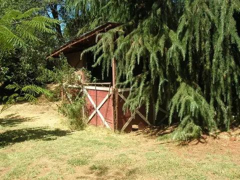 2920 Irene St, Redding, CA 96002 photo 38