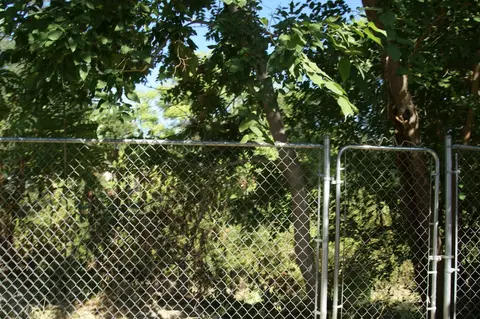 766 Musick Ave, Red Bluff, CA 96080 photo 15