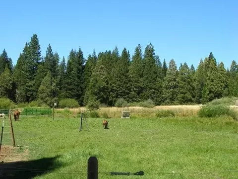 9178 Mountain Meadow Rd, Shingletown, CA 96088 photo 8