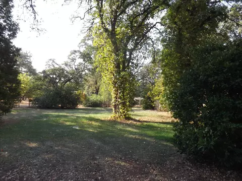 11790 Shady Meadows Ln, Redding, CA 96003 photo 20