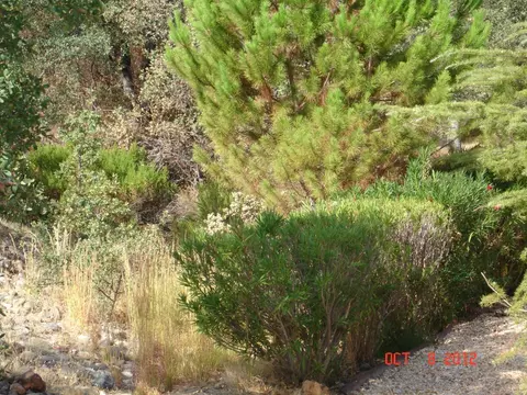 370 Logwood Dr Sp #221, Redding, CA 96003 photo 19